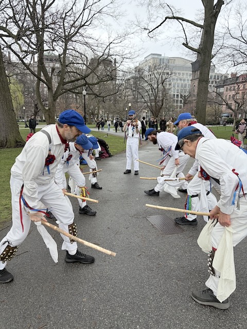 Newtowne Morris performing Stanton Harcourt Greensleaves on a path in the Public Garden, two lines of dancers in whites, suspenders, and blue caps facing across the set and leaning over to clash sticks on the ground, the musician playing a fiddle at the other end of the set.